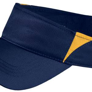 Sun Visors