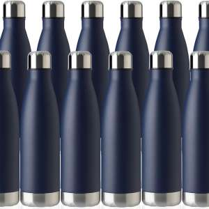 Blue 17oz Water Bottles